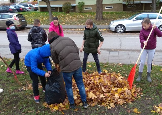 Alytaus Vidzgirio progimnazijos akcija „Kur iškeliauja rudeniniai lapai”?