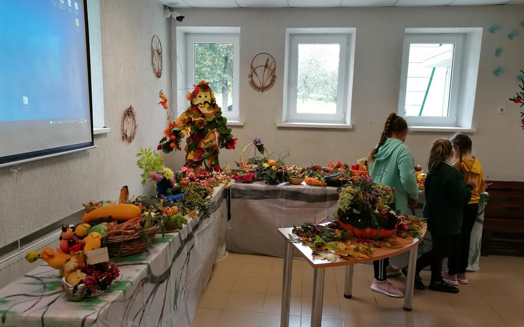 Vilkaviškio raj. Gražiškių gimnazijai – ketvirta Žalioji vėliava